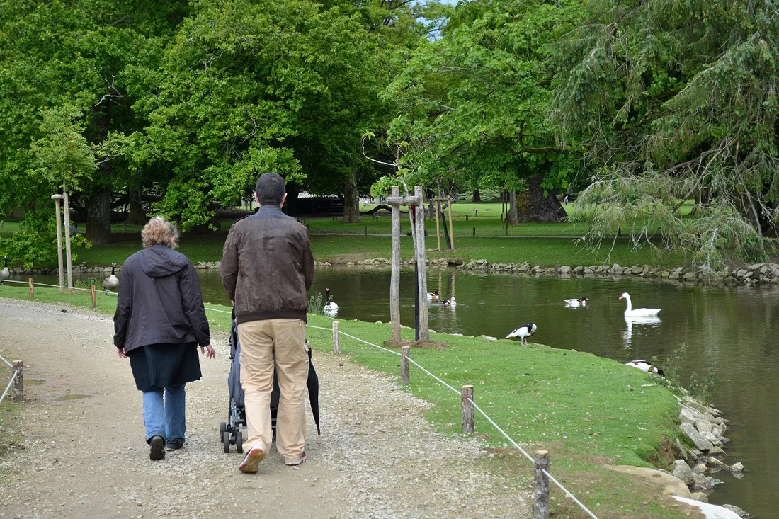 Le parc de Branféré rouvert au public depuis mercredi 